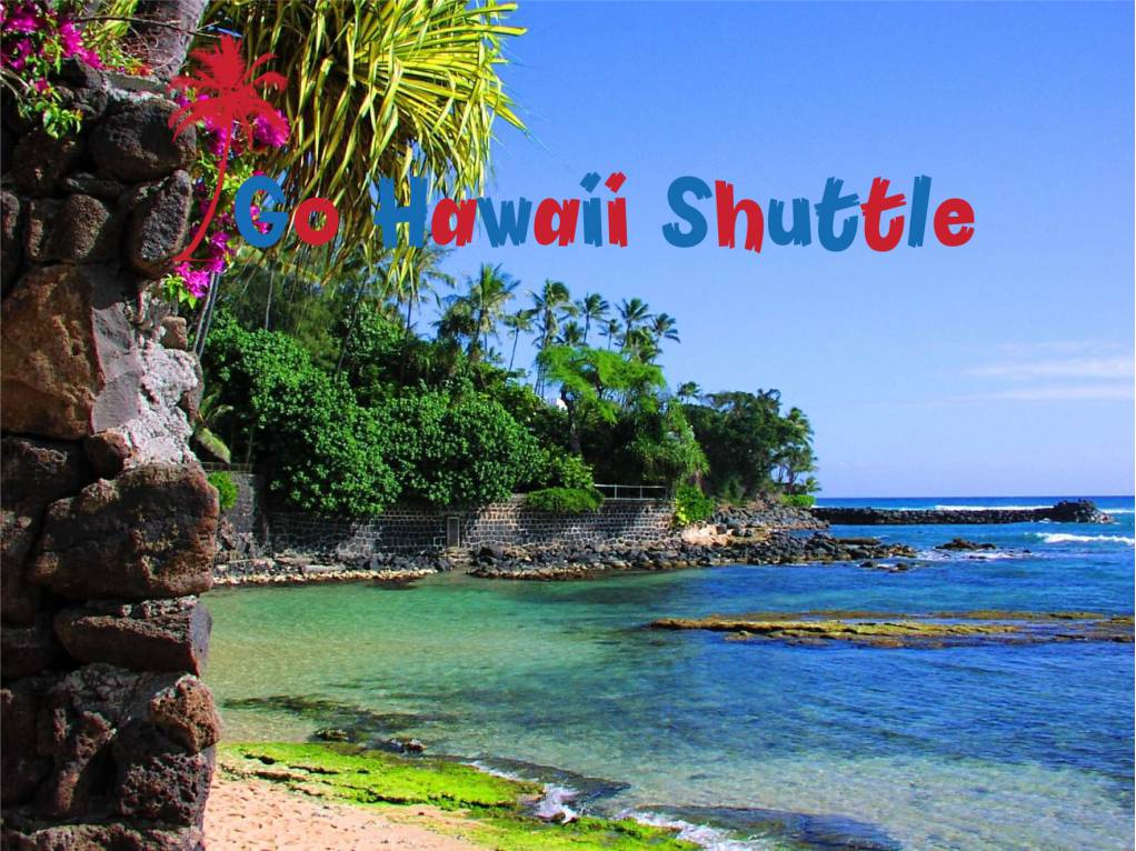 Turtle Bay Resort Shuttle